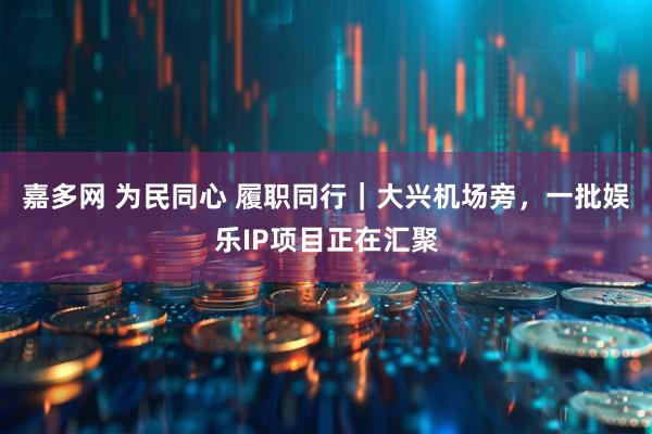 嘉多网 为民同心 履职同行｜大兴机场旁，一批娱乐IP项目正在汇聚