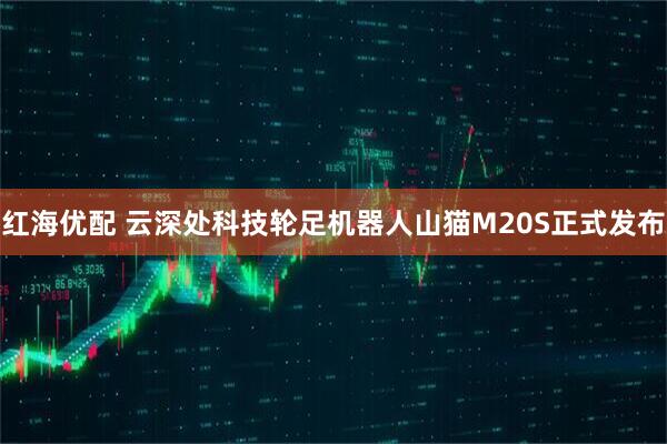 红海优配 云深处科技轮足机器人山猫M20S正式发布